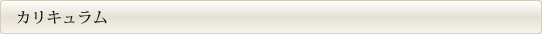 カリキュラム